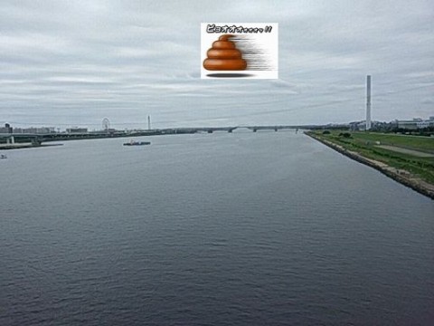 2md4wxg3evjw2gwvtbsw_480_480-5697f42a.jpg