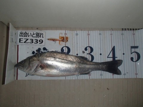 2mdpmyvnrwibxdyfku87_480_480-44f8903b.jpg