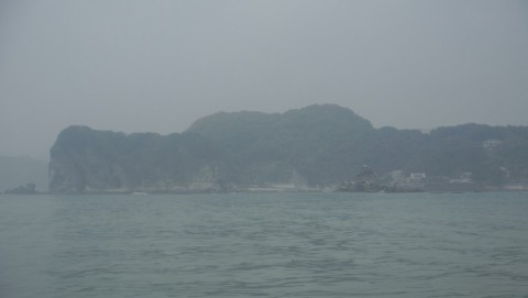 2meirpaib284ejkmm8fd_480_480-f03c79d6.jpg
