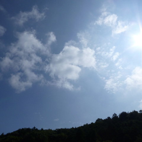 2mi3725p3dggj8cy5bcn-2c3ce378.jpg