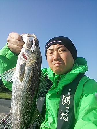 2mwn3ri6surr9etd3kkg-17e68fc1.jpg