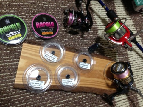 2mz29zr3naimix5kbhfc_480_480-b1841037.jpg