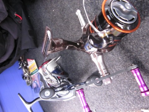 2n9ckgxabetoaf838g8b_480_480-2459a58f.jpg