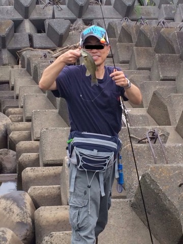2nafjxgikewoji6hj6bp_480_480-c0475c5d.jpg