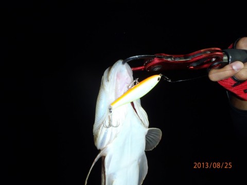 2nb6jkbry83b3t33m8zi_480_480-7cea6ef1.jpg