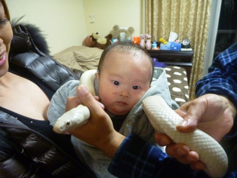 2nhbfjbygzsaoyu8r4vv_480_480-391a2b59.jpg