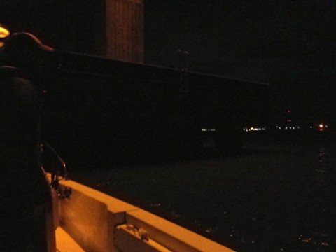2nj9z2chfMkx2OGC8rdb_480_480-09ab340e.jpg