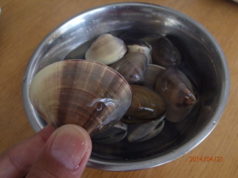 2nkhjcp3sax3ycmmwejf_480_480-8262ff4f.jpg