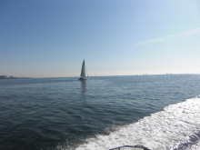 2o48by8582pf3oiw9eh8-cdad03a6.jpg