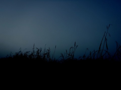 2o4eg9nxvkajgdgsidsn_480_480-4ca6b7e5.jpg