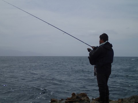 2ocko8w2wpma6mmt96kf_480_480-013e7b18.jpg