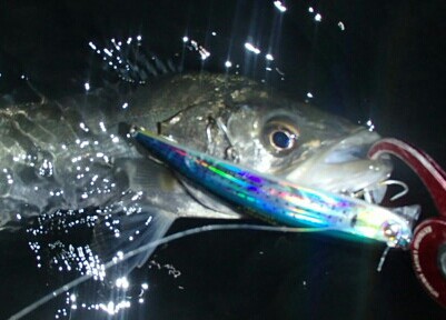 2oj2wext93uo29tfv4c8_401_288-b4808643.jpg