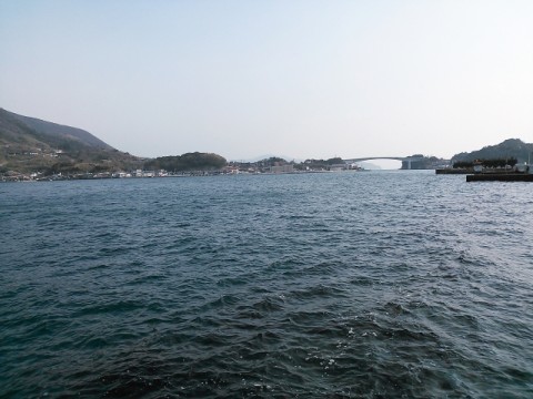 2ojb4ntnozdpzc9ivw55_480_480-4474f81f.jpg