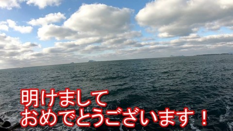 2oooxaswo9uxxwea2nss_480_480-127b3c73.jpg
