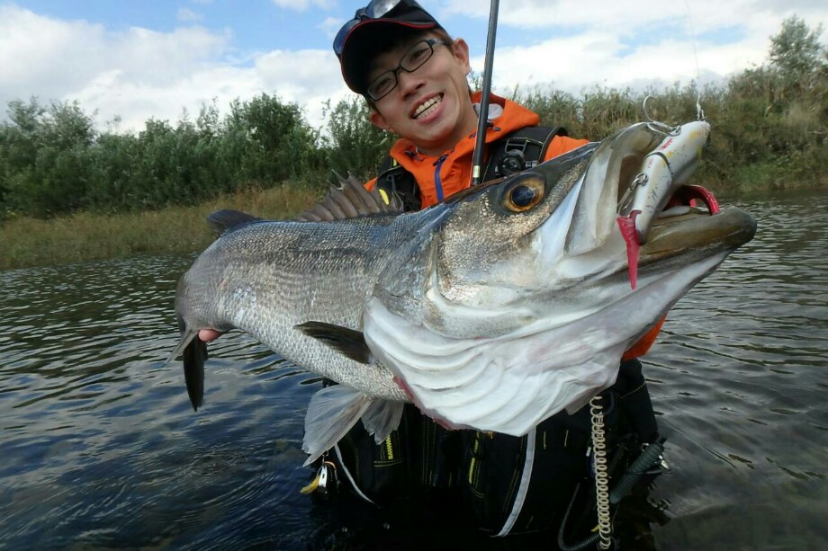 釣れよんな ブランドリバー九頭竜川