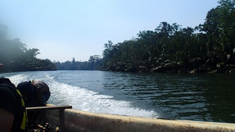 2ov5wyvhgc5vtugf3y66_480_480-09856cee.jpg