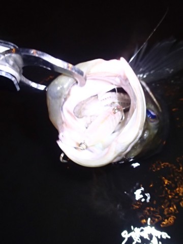 2ovbfpuc75krfdat47jx_690_920-714b194f.jpg