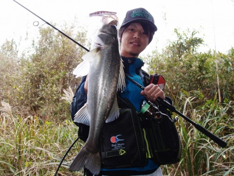 2p2bxu5mmfs659mgiy3c_480_480-c0503e3e.jpg