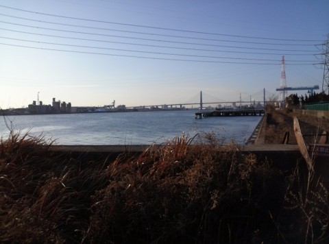 2p9nixvmodec9ux69s32_480_480-522a153b.jpg