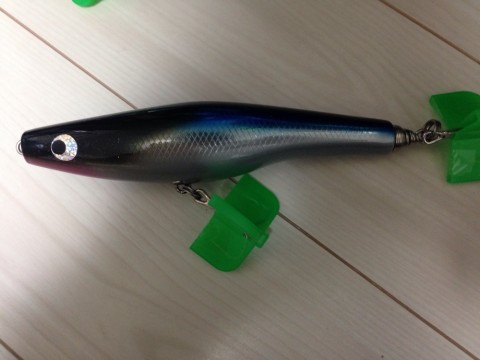 2pfdxwaykjeubf9585ga_920_690-bcae3bdd.jpg