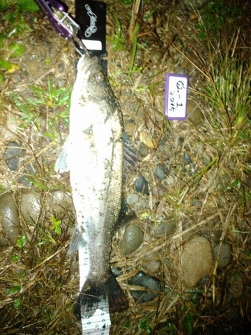 2pharpvdkct66n99n8jp_690_920-f9a67c26.jpg