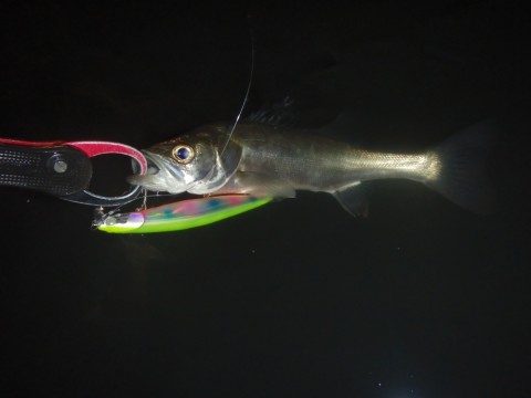 2r2rizi4tt2eco2hf269_920_690-2218a7d1.jpg