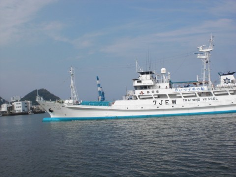 2r663awiuu2zas4mbzvm_480_480-736ec5c5.jpg