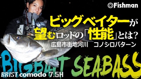 2r6ynvkxiy4xssw3m7o5_480_480-204c8bbc.jpg