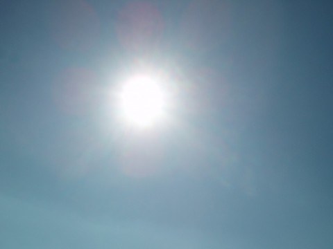 2rgd9fcra64764nj824o_480_480-51fa42c0.jpg