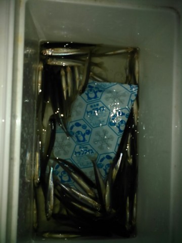 2s49z3e3zh39imdug33e_690_920-118265e4.jpg