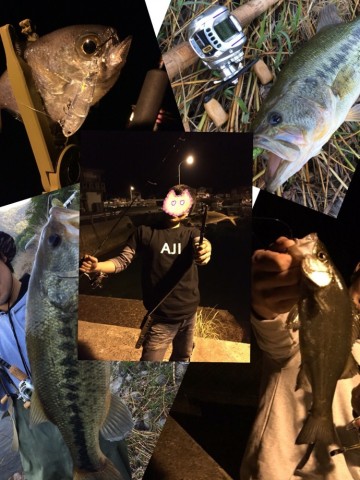 2s6r92czhkdxwtaew6m7_690_920-af366cac.jpg