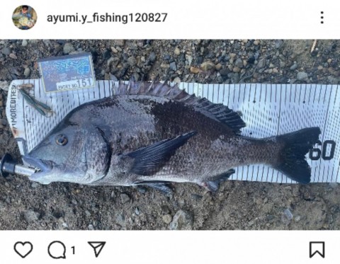 2s9g3fupokxkzwcevmp6_480_480-3f037d6b.jpg