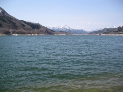 2sri58rt6tixnorvmp5j_480_480-38980b90.jpg