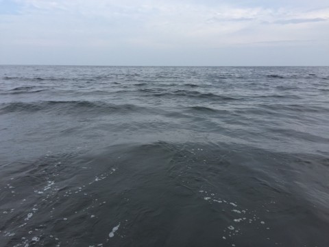 2svh4inzpu25sn8egp2o_920_690-a75d7ac9.jpg