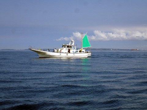 2t99rjfwv9bbcr7nrbzo-24e1266a.jpg