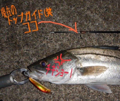 2thk368tuuonb6kyeefp_480_480-578665aa.jpg
