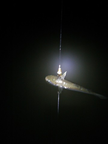2tibk6j7sem78gi5mubm_690_920-e4dcdbb3.jpg