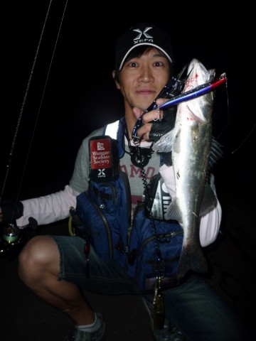 2tocvjpy74e4g293bunz_480_480-ca567158.jpg