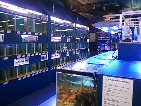 2ucmdp2pbfbm2ydbdx23_640_480-bc37819a.jpg