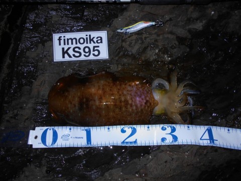 2umbchkra2xfftg4uw27_480_480-9aabaaec.jpg