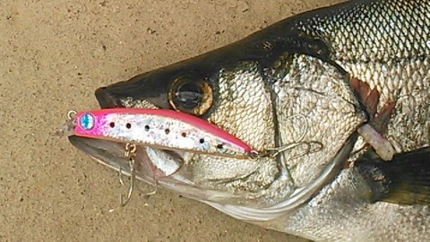 2unp5jivzw5fi58jk89o_920_518-e653ea32.jpg