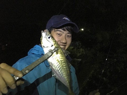 2upadydvis34jy769bk4_480_480-6854853e.jpg