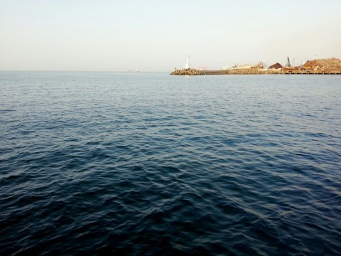 2uujkdhxfnxf49gitcfa_480_480-671a0f01.jpg
