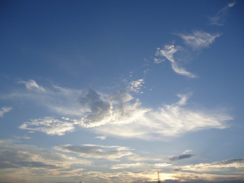 2v2uv68pt5emkv969n3d_480_480-edfa645f.jpg