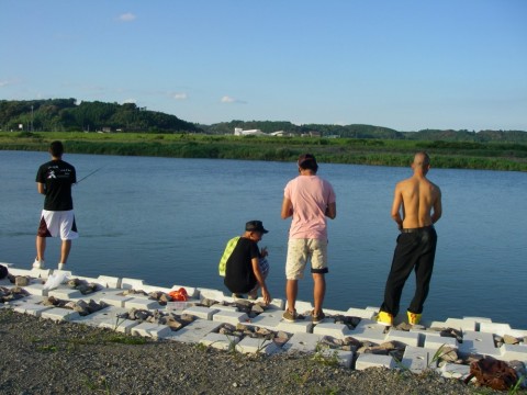 2v9bt599ggcgwst28pyk_480_480-7be7185b.jpg