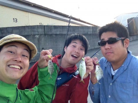 2w6d4ehrong4wdehcbdf_640_480-f0cb716a.jpg