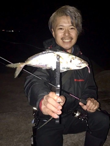 2wbpxyx5j5jjnjpw4756_480_480-7b298673.jpg
