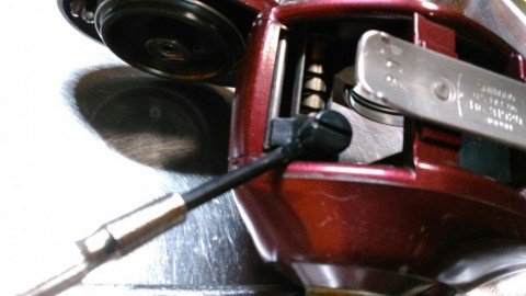 2wpuom5c5hdvyno54w2e_480_480-08aa11af.jpg
