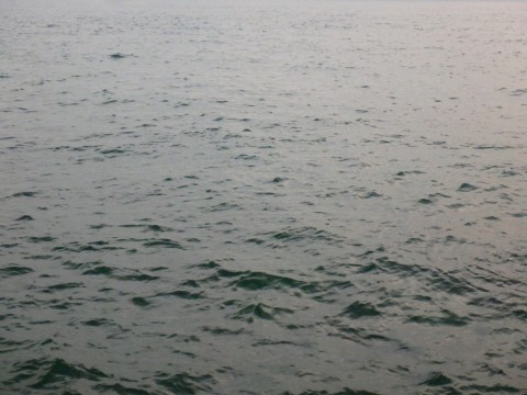 2wtt88mmjethaanf2stw_480_480-e248091e.jpg