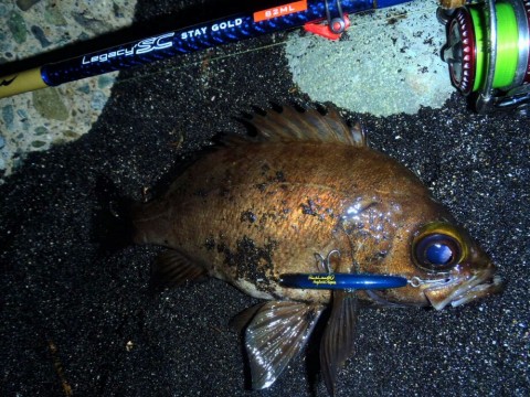 2x2zd6pygweuhnwjvru9_920_690-c9cd0ab0.jpg